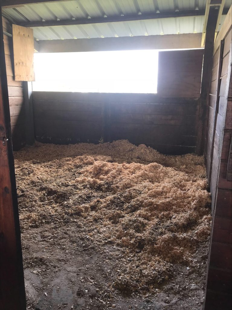 Stall with shavings